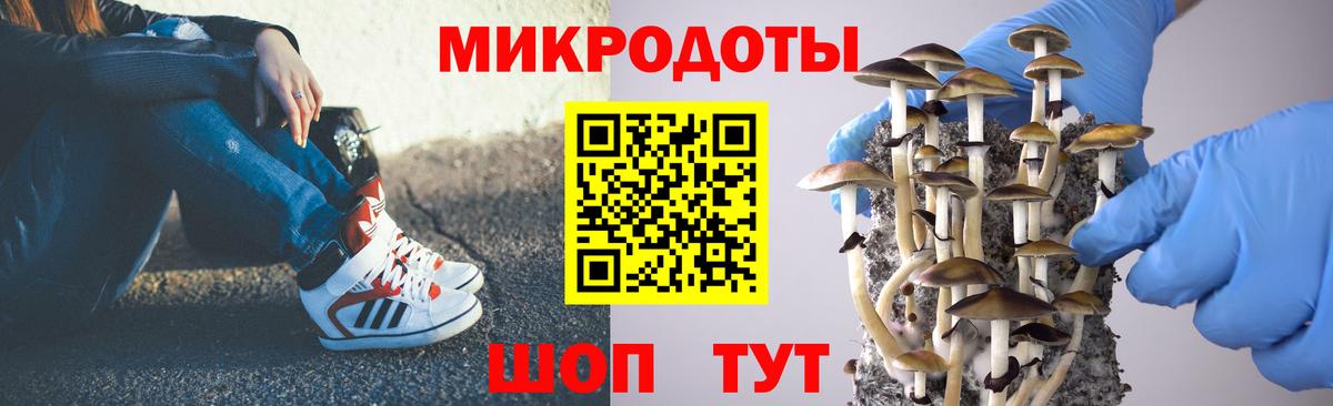 Галлюциногенные грибы MAGIC MUSHROOMS  Вход с VPN  Сертолово 